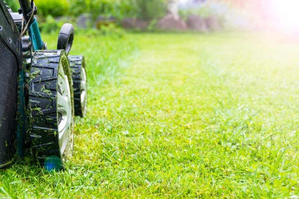 Mulčovacia kosačka: Efektívne riešenie pre lenivých záhradkárov